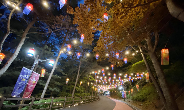 행주산성으로 올라가는 길. 청사초롱이 정상까지 환하게 길을 안내해 준다.