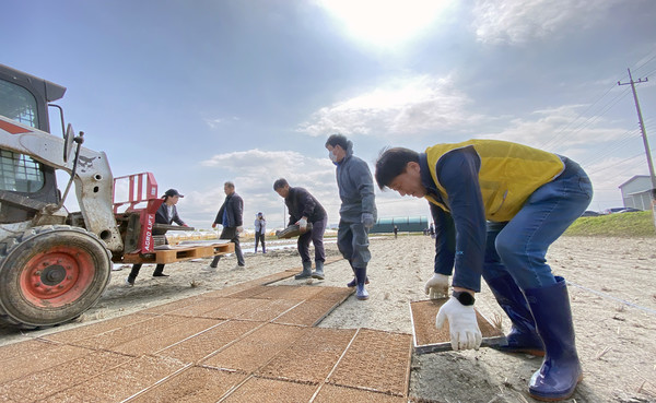 심은보 조합장(오른쪽)이 농가일손돕기에 동참해 조합원들과 이야기도 나눴다.