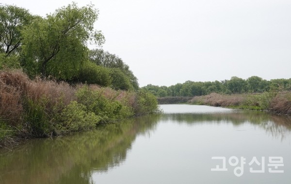 장항습지 갯골을 가득 채운 물. [사진제공=에코코리아]