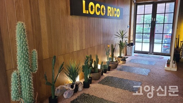 멕시코를 상징하는 선인장들이 반겨주는 매장 입구. 