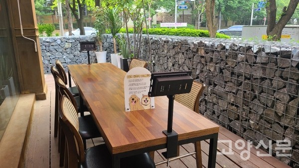 봄이면 벚꽃, 여름이면 시원한 맥주, 가을은 낙엽, 겨울엔 포근한 눈이 쌓이는 사계절의 변화를 느낄수 있는 로코리코 테라스 테이블. 