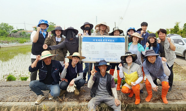 고양시 농업기술센터가 벼 병해충 예찰포의 추청과 참드림 2품종을 기계이앙하고 손 모내기를 했다. 