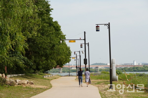 깔끔하게 정비된, 행주대교~행주산성역사공원을 잇는 강변산책로.