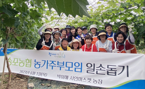 송포농협 농가주부모임이 일산서구 구산동 조합원의 샤인머스켓 농장에서 농촌일손돕기를 진행했다