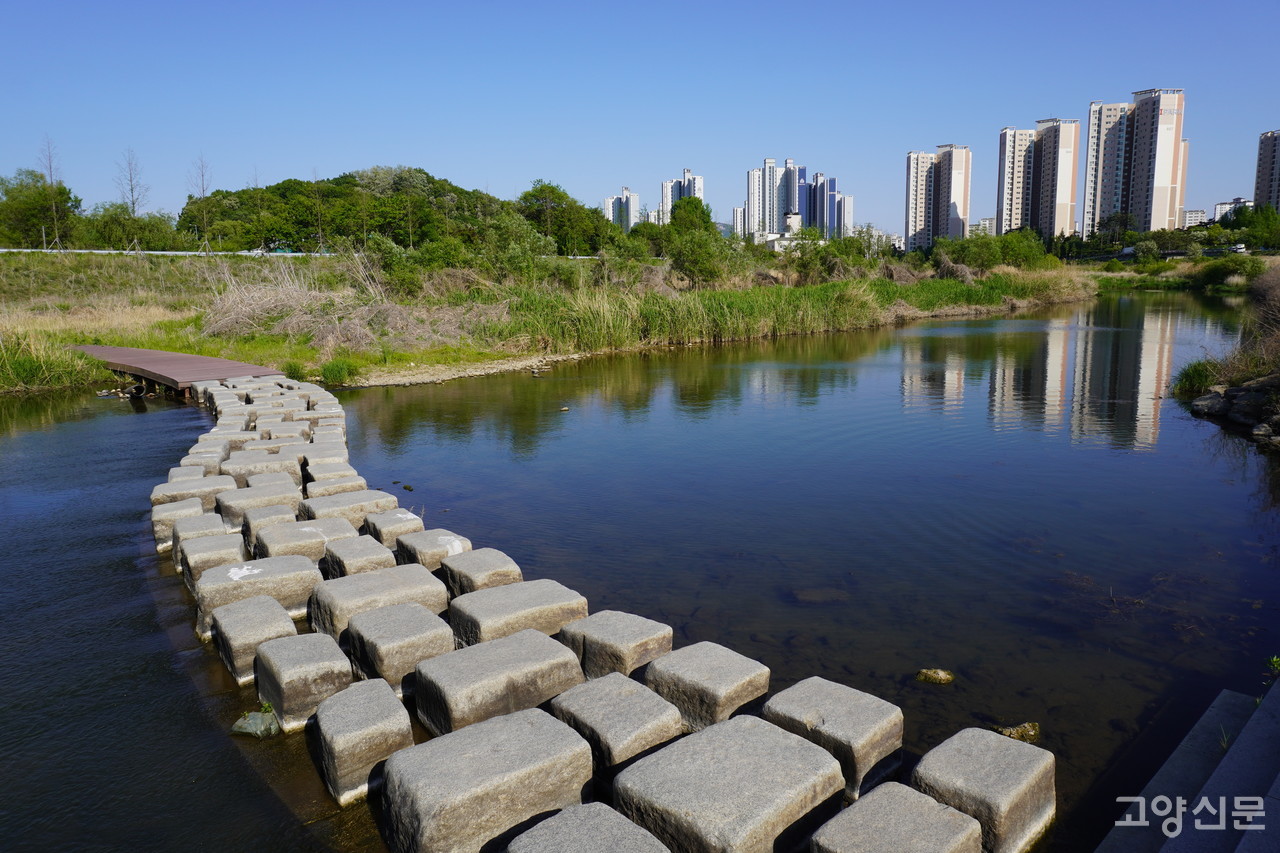 '공릉천 친수공간 조성사업'이 예정된 신원마을 인근 공릉천 구간. 심상정 국회의원과 이인애 도의원이 각각 5억원의 경기도 특조비를 확보해 총 10억원의 사업비가 투입 예정인 가운데 해당 사업 성과를 두고 양 의원 간의 신경전이 일고 있다.
