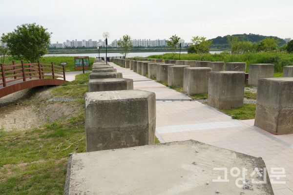 고양과 서울의 경계지점을 가르는 한강 대덕생태공원의 용치.