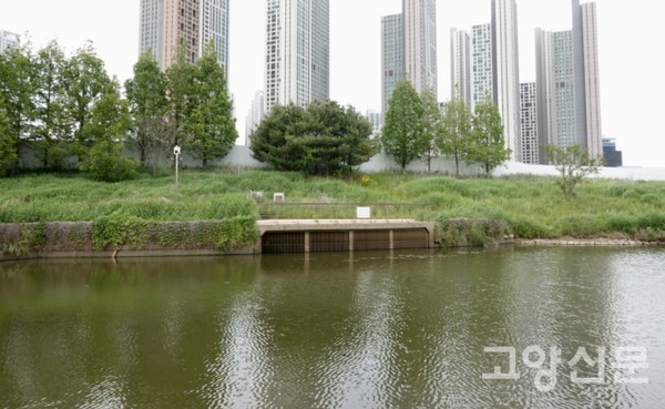 한강하구 갯골이었다가 신도시 빗물수로로 정비된 한류천. [사진제공=에코코리아]