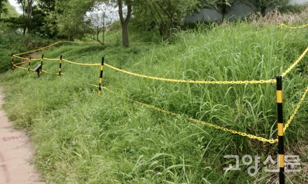 왕볓꽃 자생지를 보호해놓은 울타리. [사진제공=에코코리아]