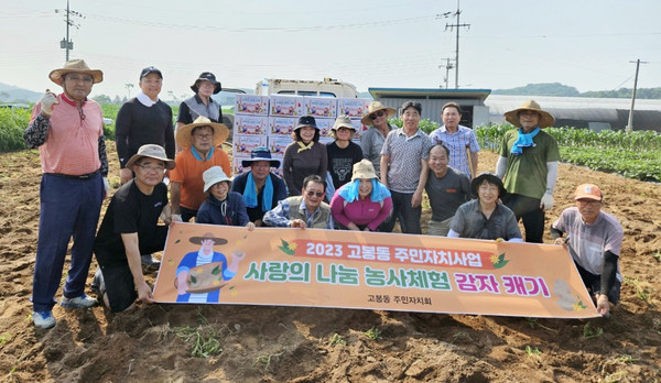 고봉동 주민자치회가 6월 25일, 성석동 주민자치회 마을 텃밭에서 ‘사랑의 감자 캐기’를 했다.