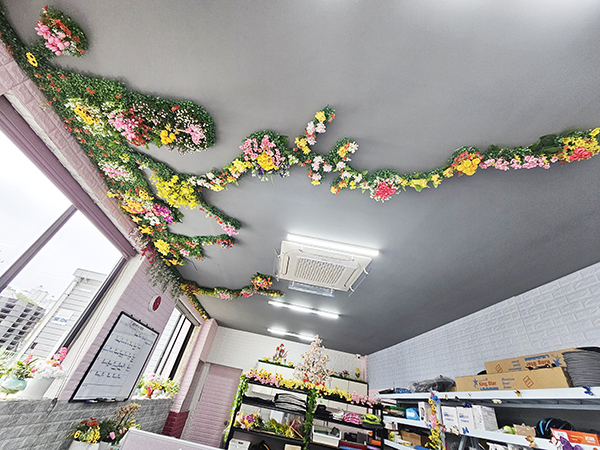 양훈 대표가 직접 플랜테리어로 꾸민 다해 사무실. 