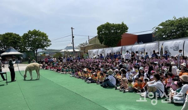 애니멀스타 프로그램 [사진제공=쥬쥬랜드]