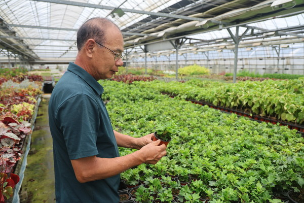 2023년 고양국제꽃박람회장에서 공개한 신품종을 소개 중인 권기현 회장.