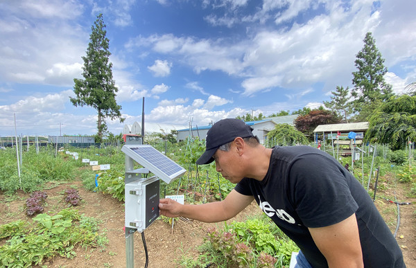 윤현철 대표가 스마트팜 기계로 밭 채소를 관리하고 있다. 내년에는 스마트팜 텃밭을 확대할 예정이다.