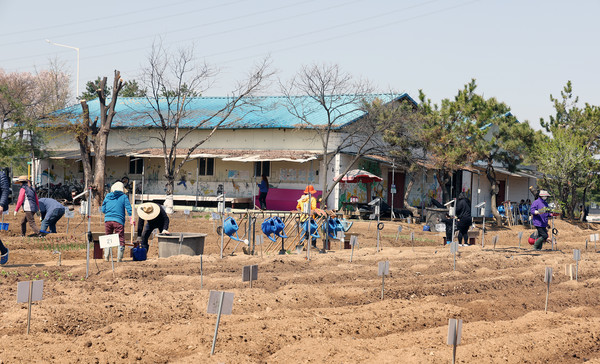 늘푸른 주말농장에서 농번기에 밭을 고르고 있는 텃밭 분양자들