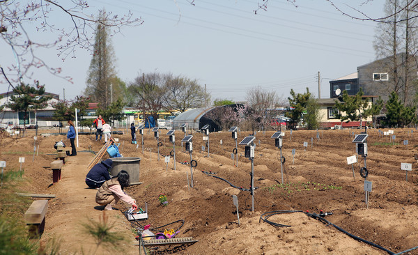 스마트팜 기기가 설치된 텃밭.