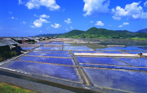 우리나라 서해안에서 생산되는 천일염에는 미네랄이 풍부히 함유되어 있다.