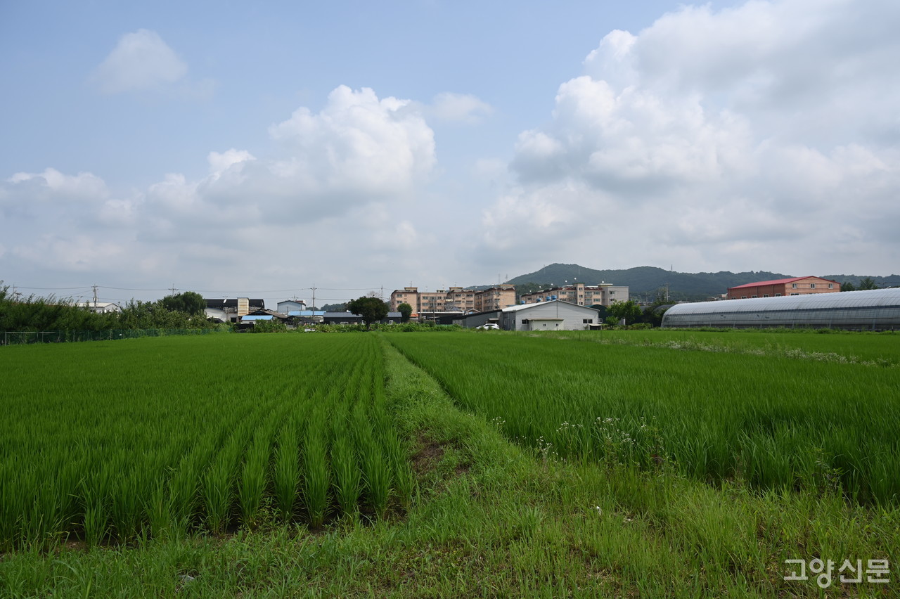 소각장 입지공모 신청지역 중 한 곳인 내유초등학교 인근