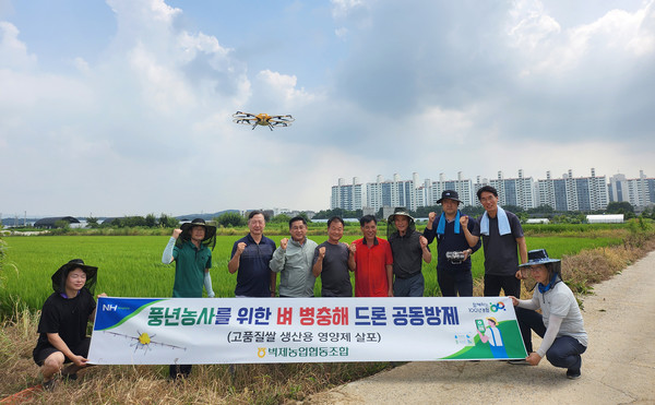 벽제농협이 지난 7월 1차에 이어 8월 16일부터 18일까지 3일간 2차 드론방제를 진행하고 있다.