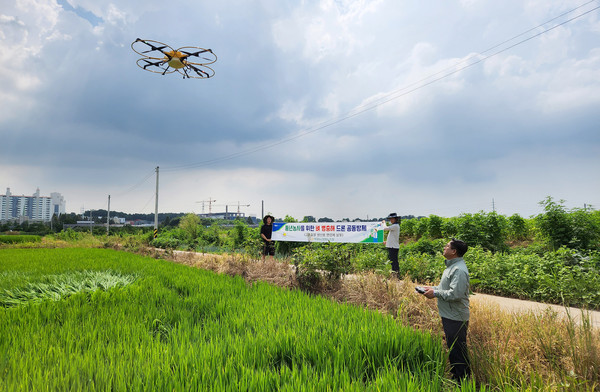 고봉동의 한 농지에서 드론으로 공동방제를 하는 모습