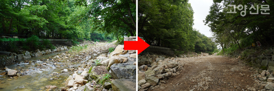 1년 전 모습과 현재 모습 비교. 하도를 뒤덮었던 바위와 돌덩이가 사라지고 포크레인이 다니는 길이 생겼다.