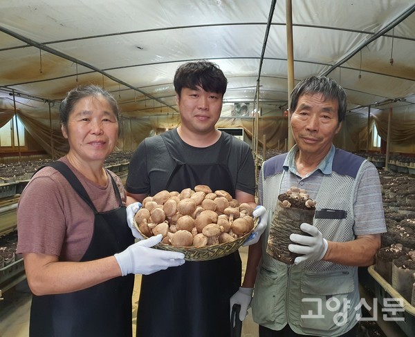 (왼쪽부터) 국산 우량종균으로 접종배양한 표고버섯 농사를 짓는 홍순화, 노명호, 노승대씨. 