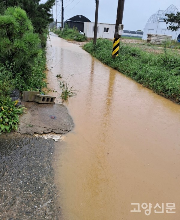 농장 옆 농로 지대가 낮아 비가 많이 오면 자주 잠긴다. 홍순화 대표는 표고버섯을 출하할 때 이 문제로 어려움을 겪는다고 호소했다.