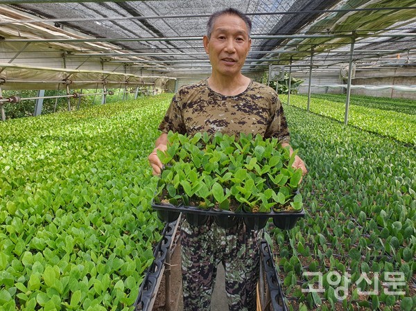 20년째 금전수를 재배하는 박종길 자람농원 대표.