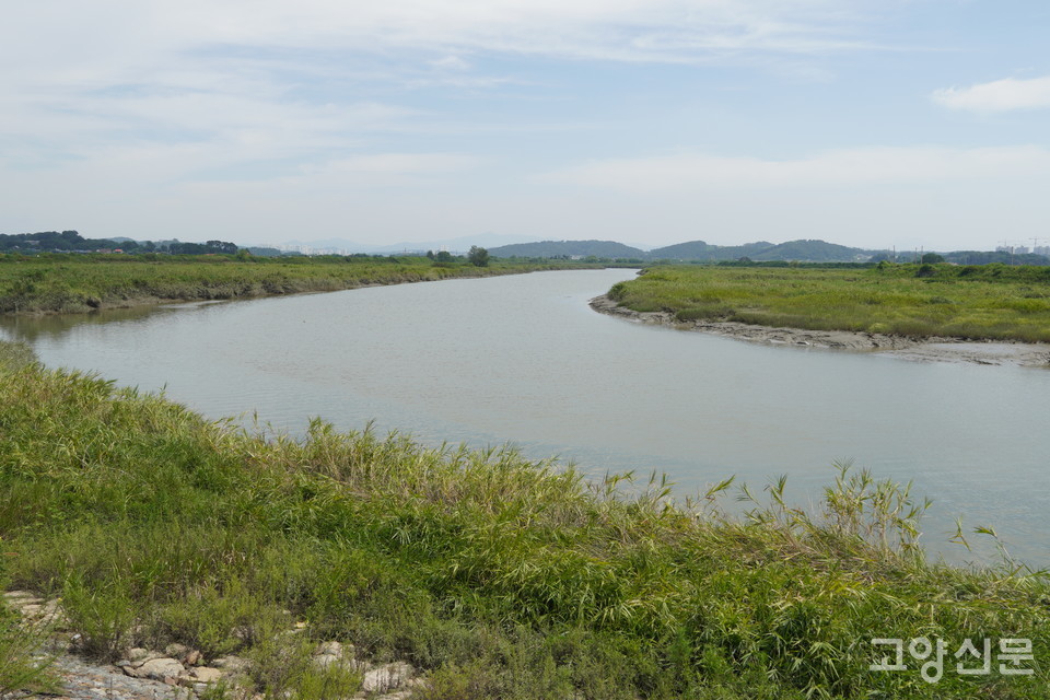 한국내셔널트러스트 선정 '2023 이곳만은 지키자' 최종 수상지역으로 선정된 공릉천 하구 풍경.