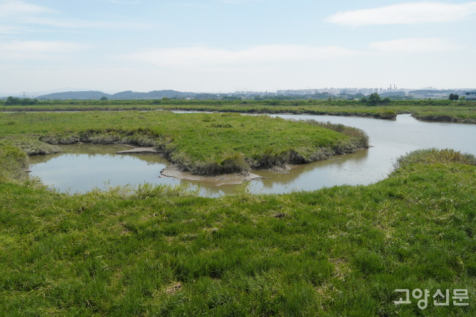 갯골을 가득 채운 물길.