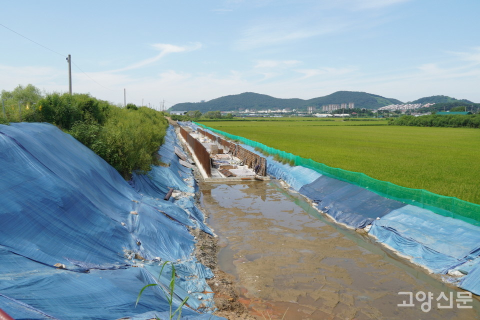 농경지 쪽으로 거대한 배수로를 만드는 공사가 진행 중인 모습.