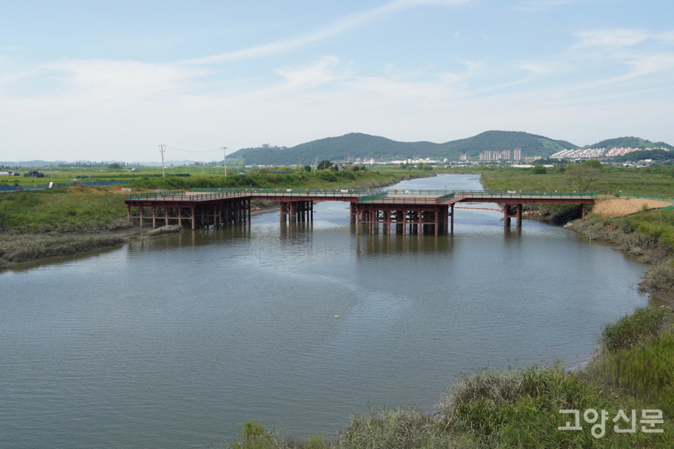 공릉천 하구를 가로질러 김포-파주고속도로를 건설하기 위해 놓은 철제 가교.