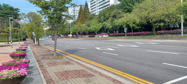 고양종합운동장 주변 도로가 246개 원형 꽃박스로 장식했다.[사진제공=일산서구] 