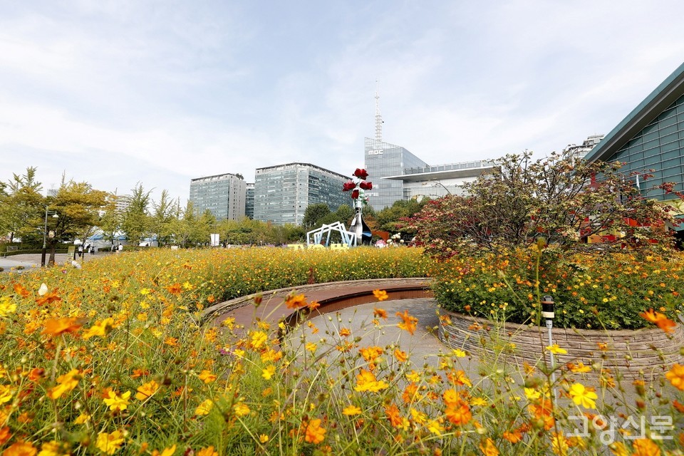 2023고양가을꽃축제가 열리는 일산호수공원 꽃전시관 앞마당.