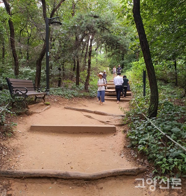 정발산공원 스마트 건강길을 걷는 시민들.