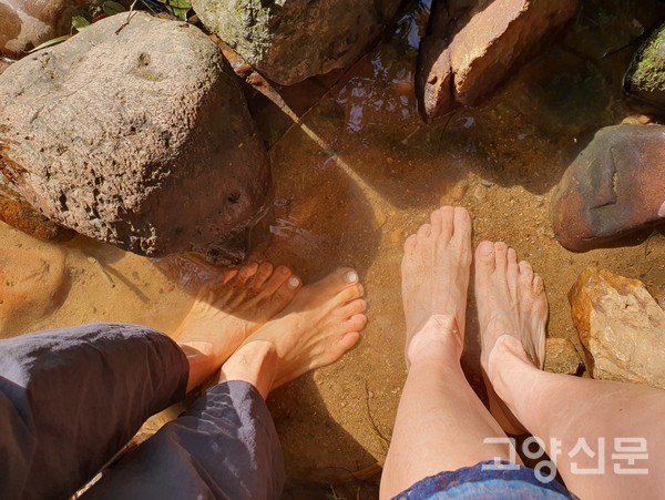 정발산공원 스마트 건강길을 걷다보면 실개천에 발을 담글 수 있다.