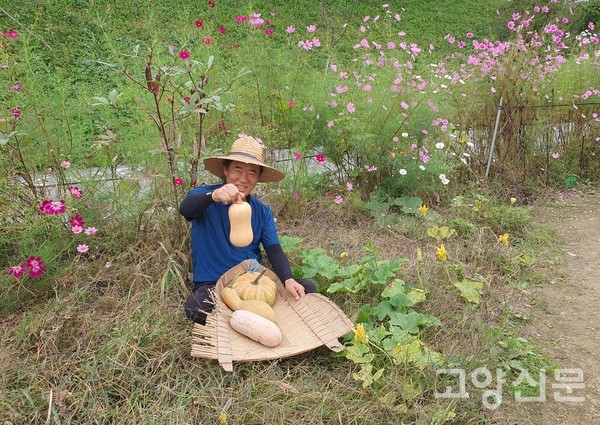 친환경재배한 호박(땅콩모양과 맷돌)을 보여주고 있는 정진해 작가.