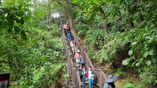 숲과 강을 동시에 즐기며 행주산성에서 대덕생태공원으로 이어지는 고양누리길을 걷는 참가자들.