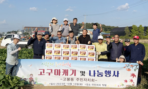 고봉동 주민자치회가 유휴부지 텃밭에서 ‘사랑의 농사체험 고구마 캐기 및 나눔’을 진행했다. 