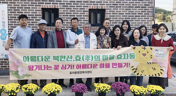 효자동이 아름다운 국화를 심어 주민들이 향긋한 꽃향기를 느낄 수 있도록 했다.