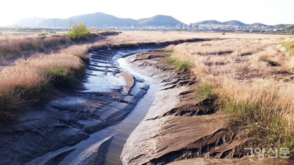 공릉천 하구로 흘러드는 청룡두천의 모습. 기수역 하천의 모습을 잘 보여주는 경관이다. [사진=유경종 기자]