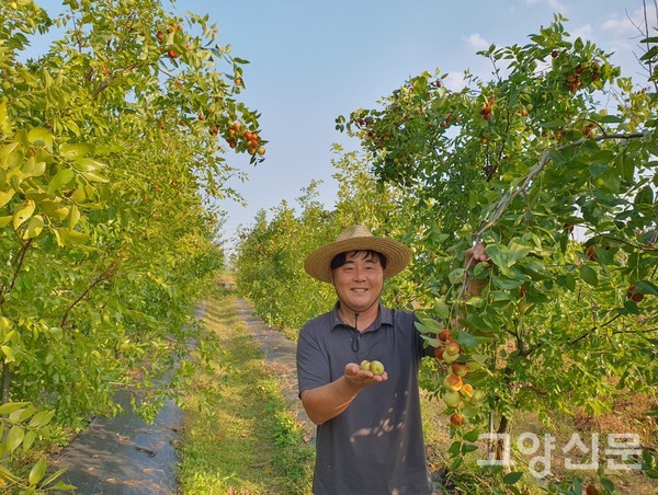 사과대추를 설명하는 전병성 대표.