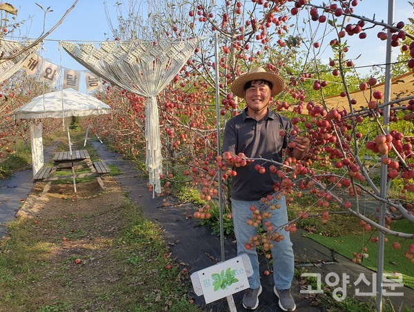 미니사과(루비에스)를 보여주고 있는 전 대표.