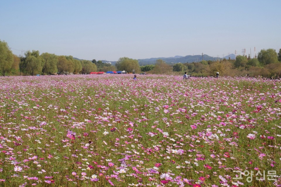 [사진제공=고양시]