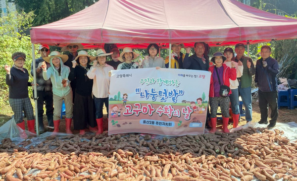 중산2동 주민자치회가 어려운 이웃을 위한 고구마를 약산마을 인근 텃밭에서 수확했다. 