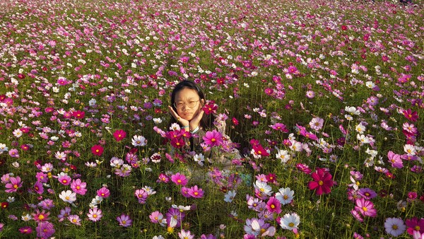 코스모스꽃 밭에서 어린이와 함께.