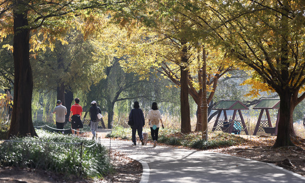 가족과 반려견이 함께 걸으며 고양누리길 한마음축제를 즐겼다.