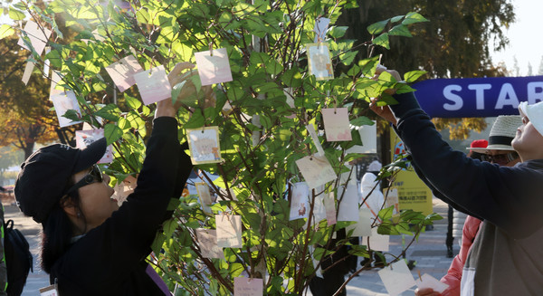 참가 시민들이 소원나무에 소중한 글을 적어 소원을 빌며 걸고 있다.