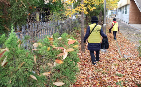 학교와 그 주변의 쓰레기를 줍는 어르신들. 이분들의 활동으로 주변은 훨씬 환해진다.