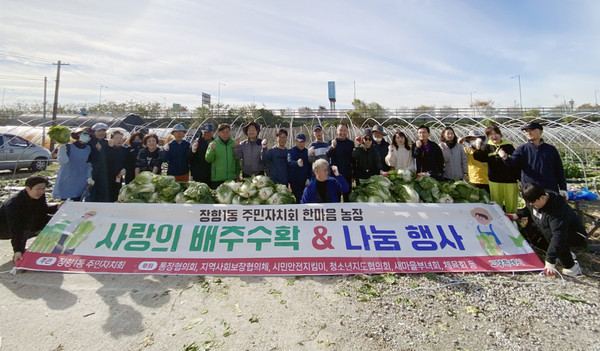 장항1동 주민자치회가 한마음 농장에서 ‘배추·무 수확 및 나눔’을 진행했다. 