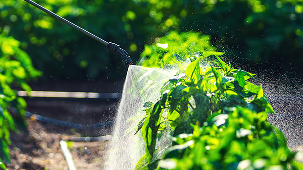 이미지는 기사 내용과 직접 관련이 없습니다. [사진제공=농촌진흥청]
